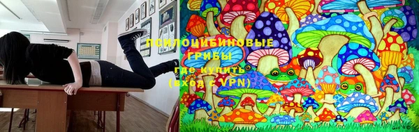 прущая мука Абинск